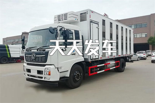 福建到新河物流有哪些
